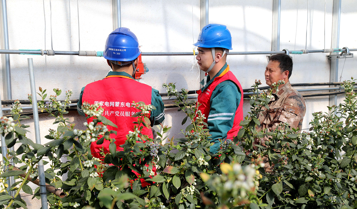 农村电气化信息网讯：（通讯员 张振远）2月10日国网敖汉旗供电公司木头营子中心供电所员工来到木头营子乡青山村为蓝莓种植企业检查温棚自动放风系统，确保大棚种植企业在冬季用电设备运行正常。