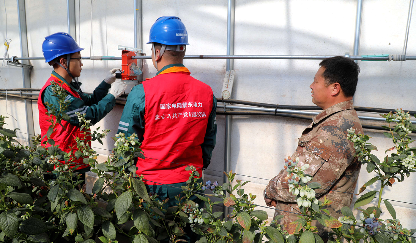 农村电气化信息网讯：（通讯员 张振远）2月10日国网敖汉旗供电公司木头营子中心供电所员工来到木头营子乡青山村为蓝莓种植企业检查温棚自动放风系统，确保大棚种植企业在冬季用电设备运行正常。