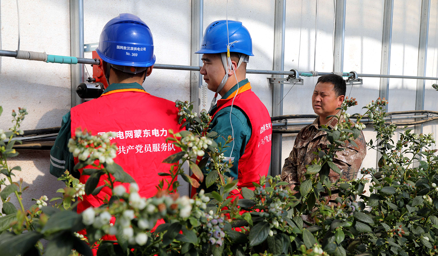 农村电气化信息网讯：（通讯员 张振远）2月10日国网敖汉旗供电公司木头营子中心供电所员工来到木头营子乡青山村为蓝莓种植企业检查温棚自动放风系统，确保大棚种植企业在冬季用电设备运行正常。