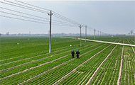 河南滑县：电足水畅，麦苗喝饱“返青水”