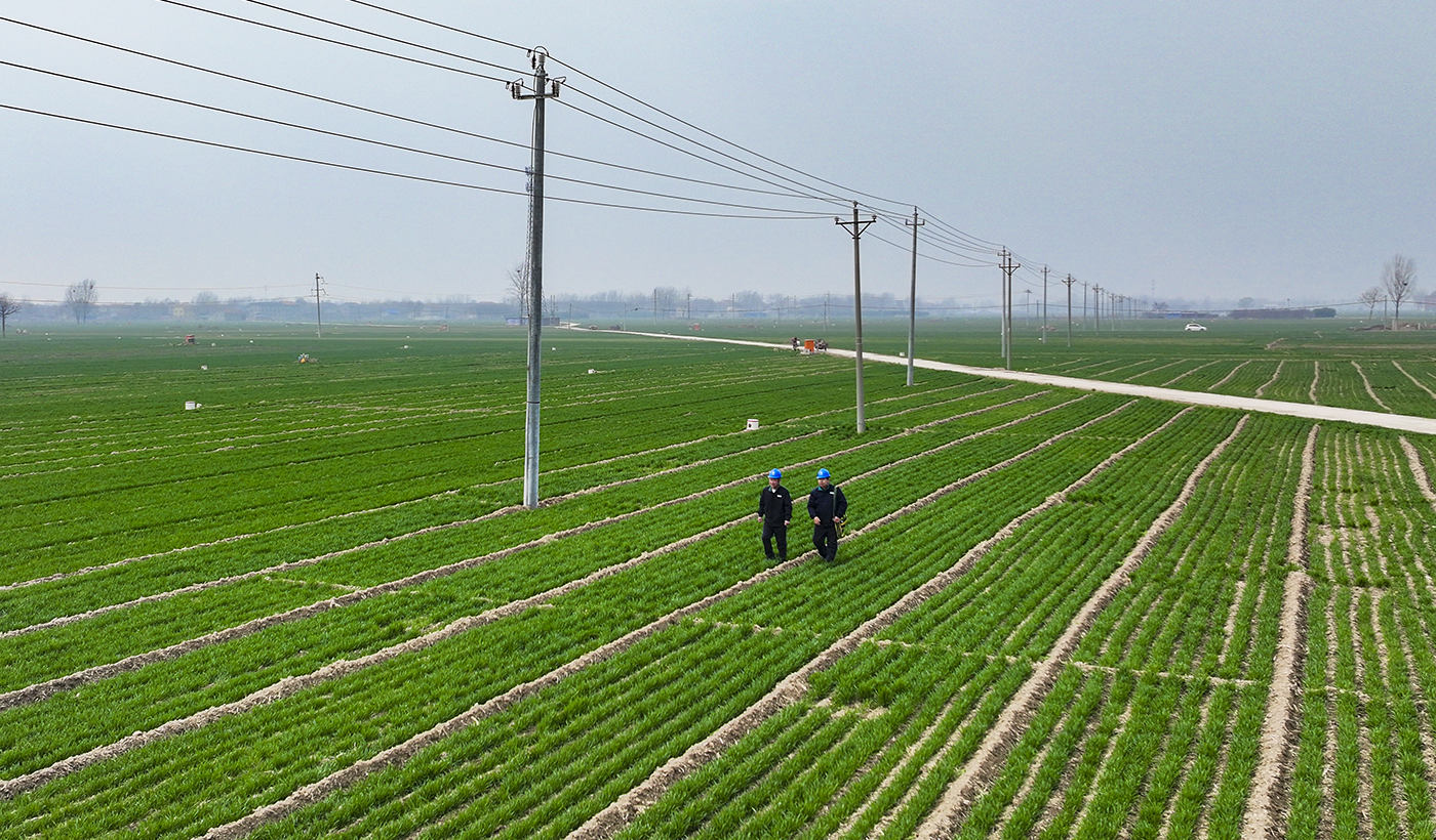 农村电气化信息网讯：（王亚方 杨子超）“湿手千万别碰开关啊！”3月16日上午，在河南滑县八里营镇东风村的麦田里，国网滑县供电公司八里营供电所线路管理员康玉川为村民康会民讲道。康会民正给小麦浇返青水，听到叮嘱笑着点头：“知道了，你们天天来检查，比我们还上心！”图1为，2026年3月16日上午，在河南省安阳市滑县八里营镇东风村的麦田里，国网滑县供电公司线路管理员康玉川、赵强正在巡视涉农的10千伏八街线路。（王亚方 摄）