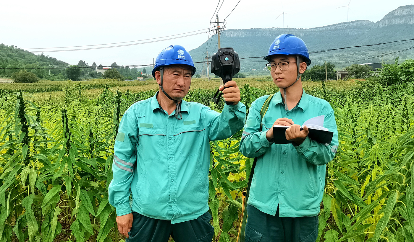 农村电气化信息网讯：（通讯员 于绍迎）8月19日，国网枣庄供电公司山亭供电中心服务人员对涉及农村果园用电的10千伏供电线路开展特巡检查，实地检查设备负荷和温度，及时掌握电网运行状况。